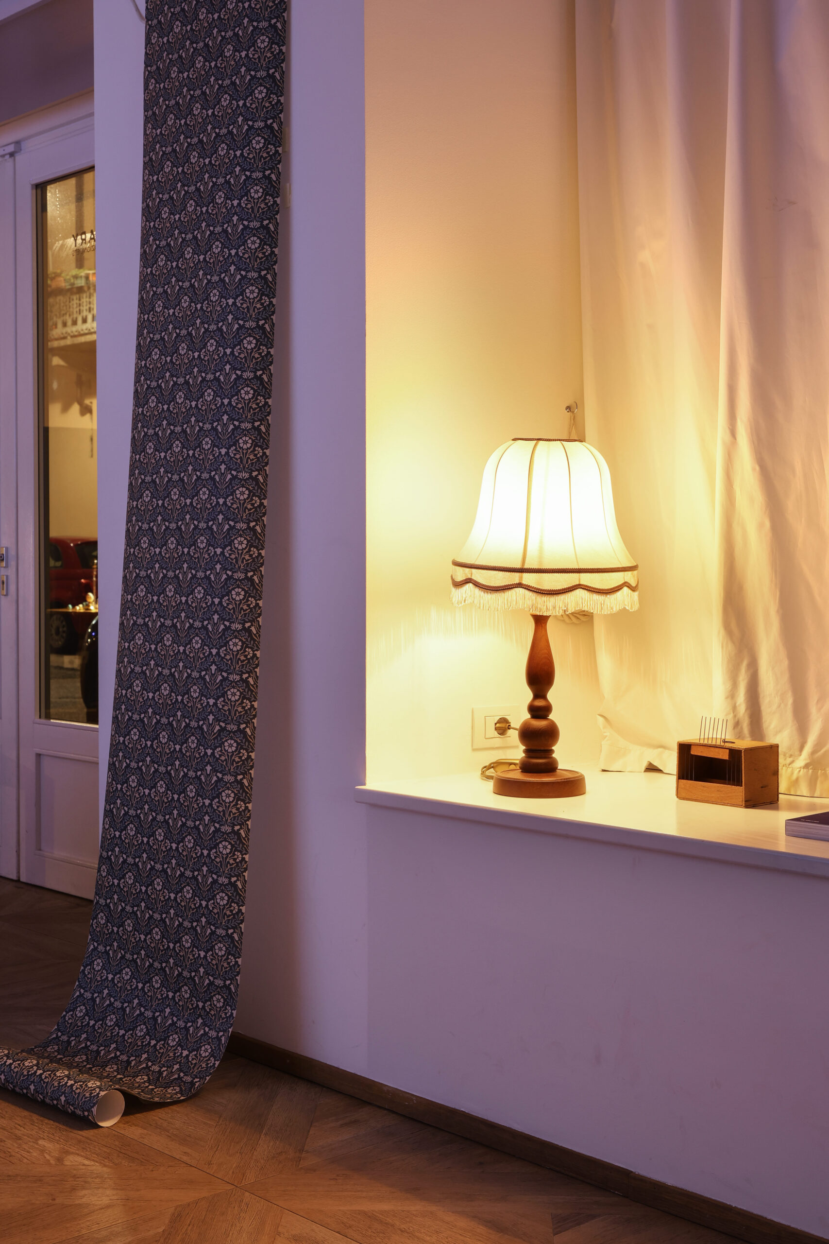 Exhibition design for Extinction Story turned the space into a curiosity cabinet.